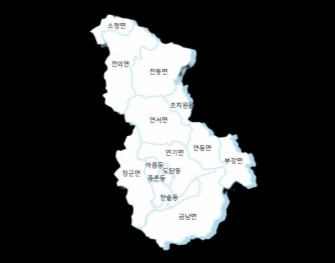 세종 지역 지도